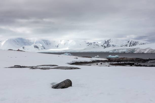 istock Snow-covered landscape of mountains range on a glacier under a grey cloudscape in Antarctica 1447074062