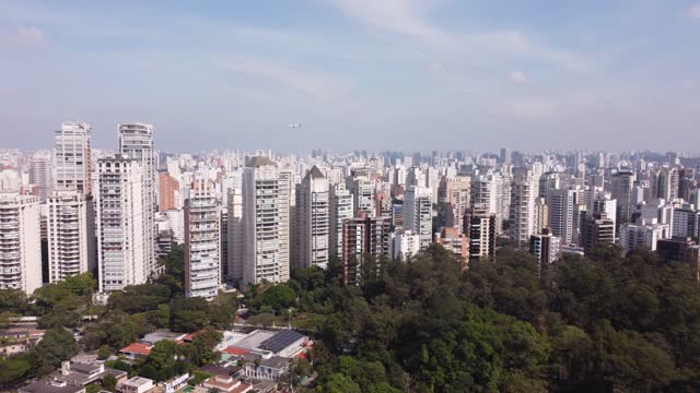 Park in the city of Sao Paulo