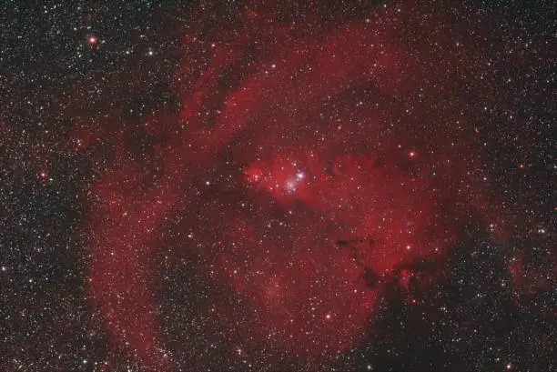 NGC2264, consisting of the Cone Nebula and the Christmas Tree Cluster