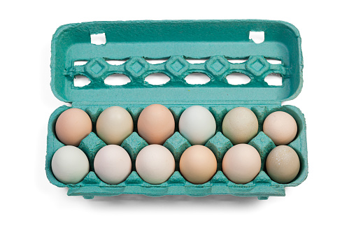 Dozen farm fresh organic eggs in a carton isolated on white background