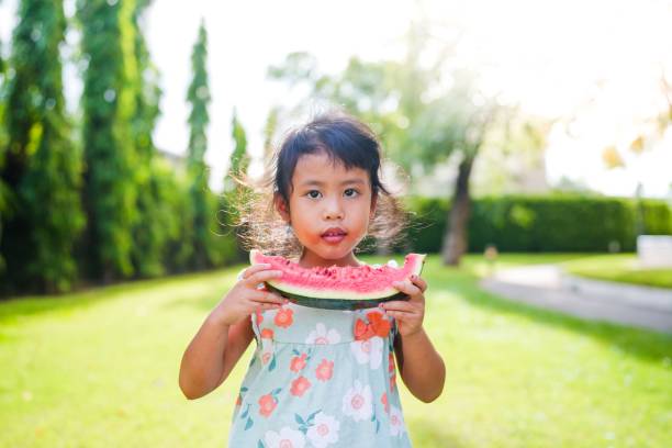 공원에서 수박을 먹는 귀여운 동남 아시아 소녀 - watermelon missing bite melon grass 뉴스 사진 이미지