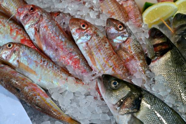 filety ze świeżych ryb w sklepie rybnym - prepared shellfish tray variation catch of fish zdjęcia i obrazy z banku zdjęć