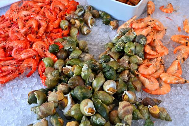 caracóis marinhos e camarões cozidos - prepared shellfish tray variation catch of fish - fotografias e filmes do acervo