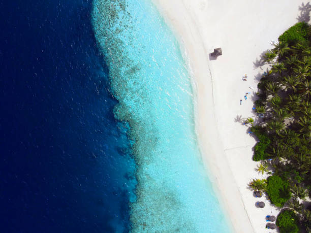 istock Beautiful blue sun sea tropical nature 1447077926