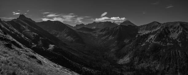 istock Scenic grayscale panoramic view of beautiful mountains 1447078645