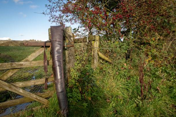 istock Gun case leaning against a barbed wire fence in nature 1447079272