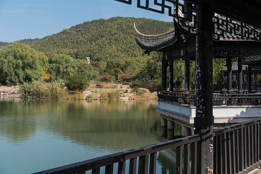 An aerial view lake surrounded by dense trees and buildings in Yixing