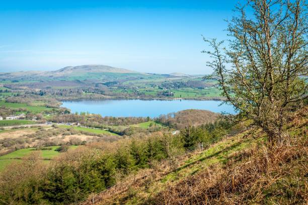 istock Lake surrounded by hills and trees on a sunny day 1447079801