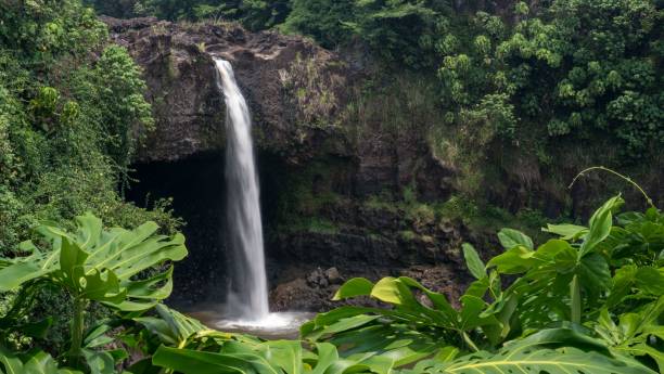 istock Natural leaf-framed view toward Rainbow Falls in Hawaii 1447080556