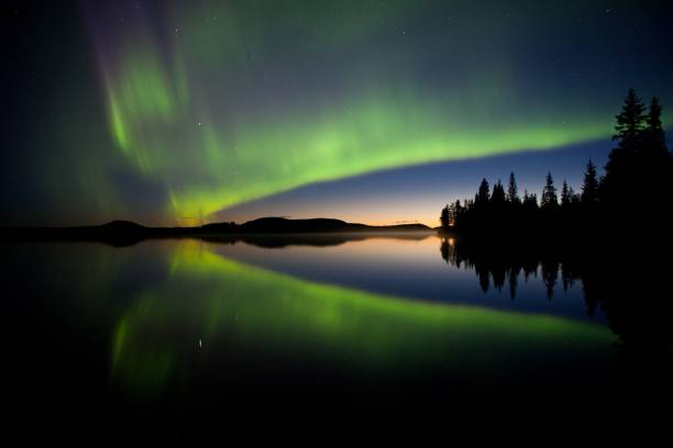 istock Northern lights in summer 1447081391