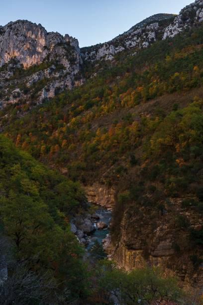 istock Vertical shot of a path in a forest 1447083027