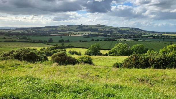 istock Vast green meadow with fields on the background 1447086454