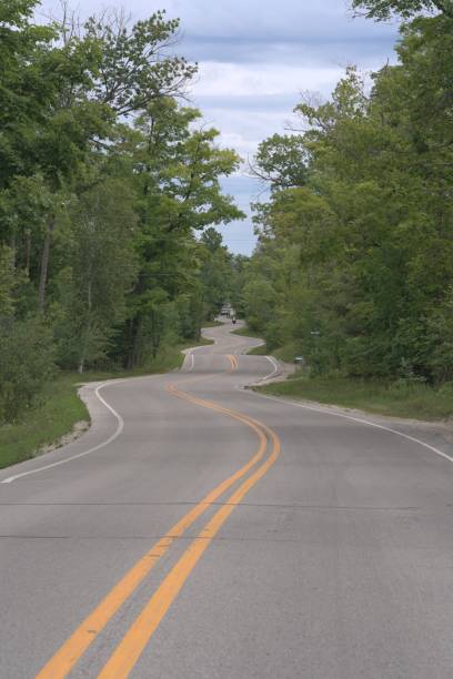 istock Vertical shot of a twisting asphalt road through a park 1447086480