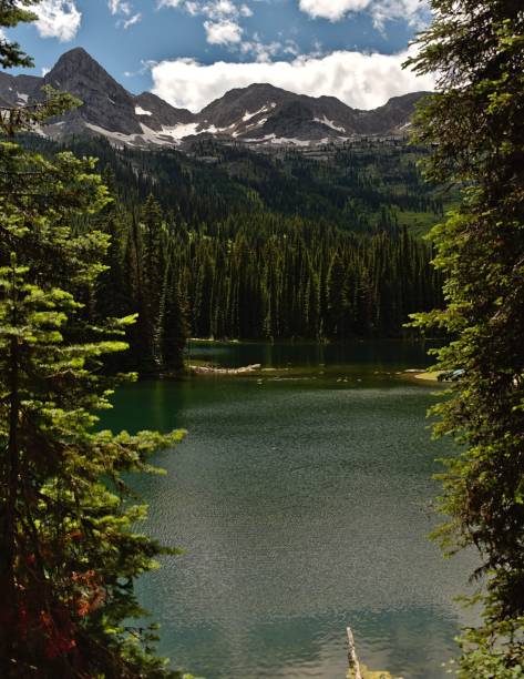 istock Vertical shot of a lake surrounded by a pine tree forest and mountains 1447086483