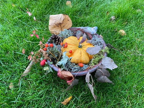 A closeup shot of a pot with a pumpkin, plants, and a bird perched on it