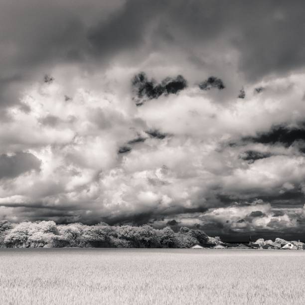 istock Greyscale shot of a wide field with a cloudy sky 1447086991