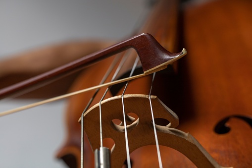 A closeup of a bow on the strings across the bridge of a Cello