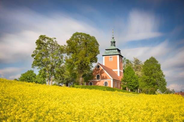 istock Lonely church in a blooming field against a blue clouded sky 1447088964