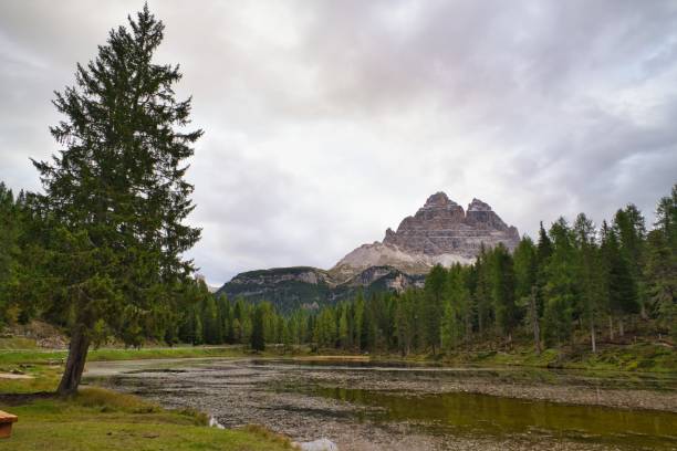 istock River between trees with a background of mountains 1447089594
