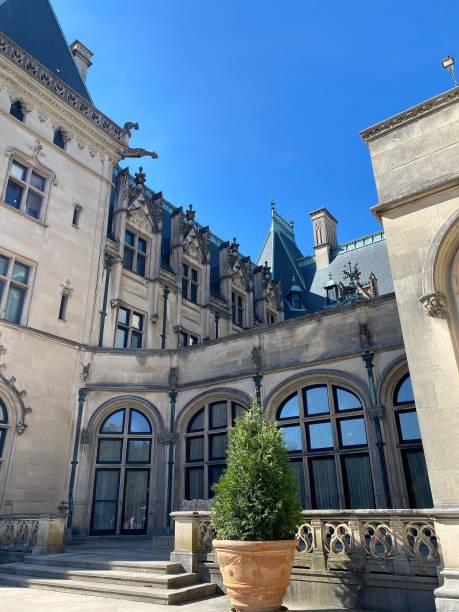 istock Low angle view of modern buildings on a sunny day 1447091980