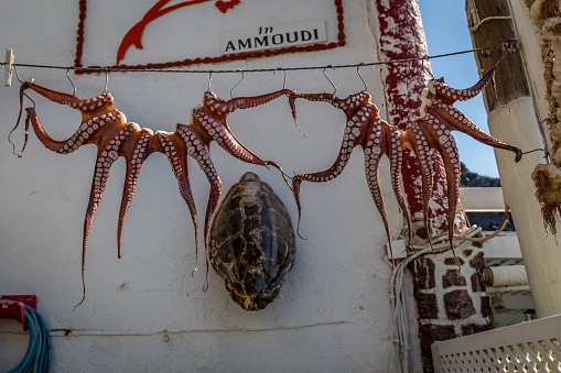The octopus tentacles hanging at a local market at Santorini island in Greece on a sunny day