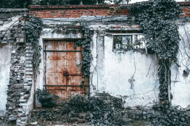 Photo of Facade of a dilapidated house with climbing plants on its wall in old provinces of Beijing, China