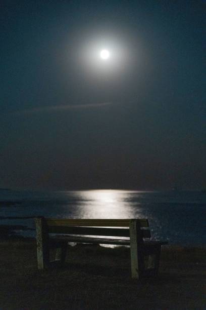 istock Vertical shot of a bench by the ocean under the moonlight 1447093078