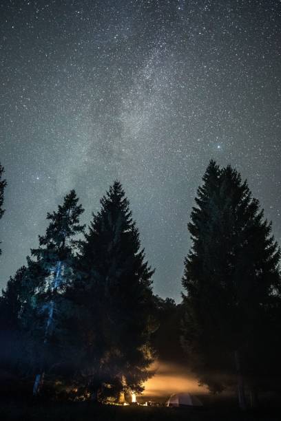 istock Vertical low-angle of pine trees with a scenic starry night sky in the background 1447093200