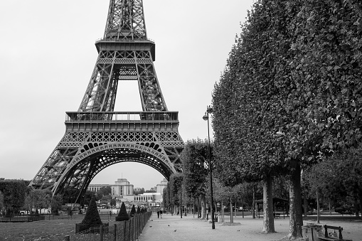 The Eiffel Tower is viewed between an ivy wall and a row of beautiful iron lampposts.