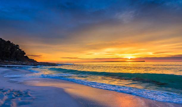 istock Idyllic sandy beach under a gloomy sunset sky 1447093565