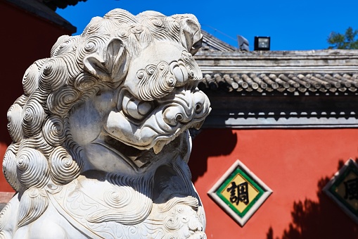 A closeup of a Chinese lion sculpture with the Dajue temple wall on the background, Beijing, China