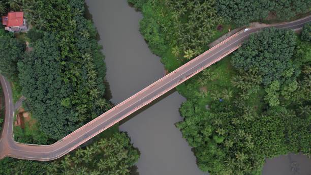 istock Mesmerizing view of a river surrounded by dense green forest and a bridge over the water 1447093790