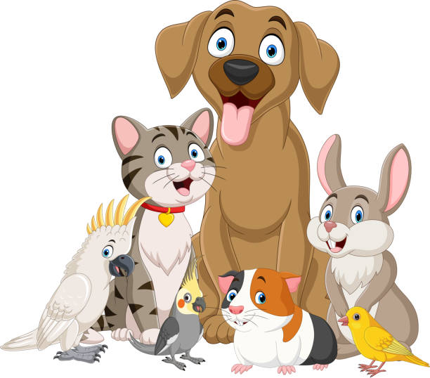 ilustrações, clipart, desenhos animados e ícones de bonito conjunto de coleção de animais de estimação dos desenhos animados - dog domestic cat pets cartoon