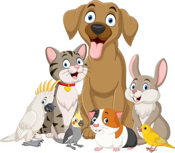 Vector illustration of Cute cartoon pets collection set