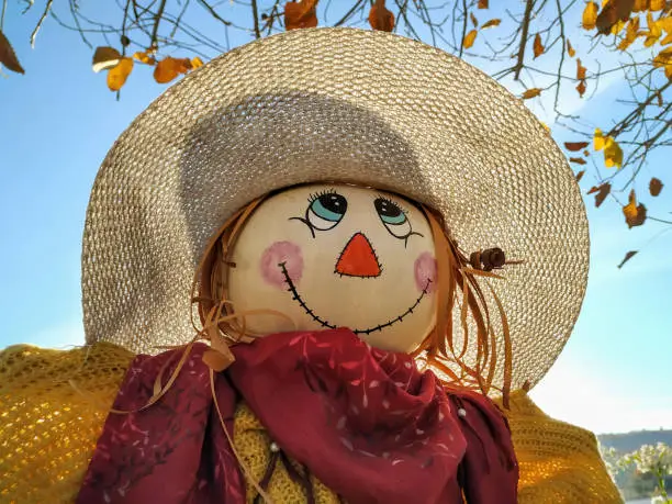 Close Up Portrait Shot Of A Cute Scarecrow