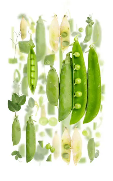 Abstract background made of Green Pea vegetable pieces, slices and leaves isolated on white.