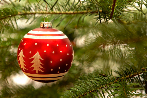 Beautiful red Christmas decoration on a Christmas tree