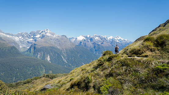 Hiking the Routeburn Track with views of the Hollyford Valley, South Island.