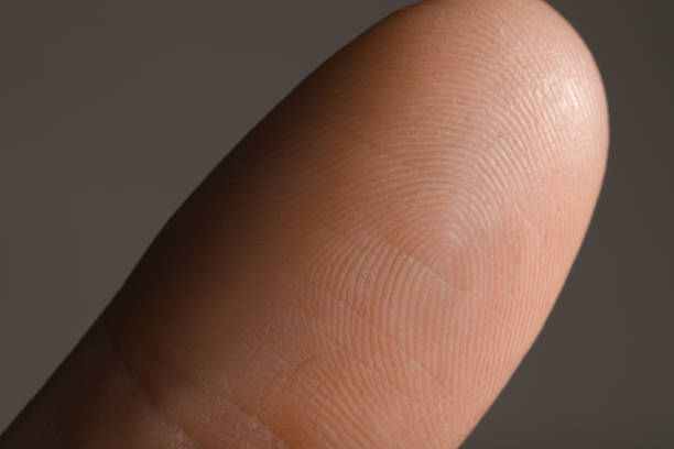 istock Closeup view of human finger on grey background 1447102292