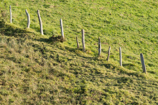 Fence of wooden posts separating two meadows. Permission. Private property. No trespassing