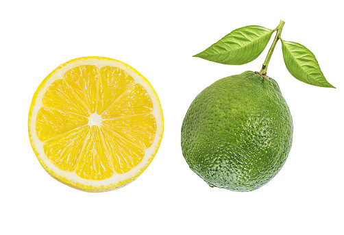 Fresh green lime and lemon iisolated on white . Citrus and tropical fruits