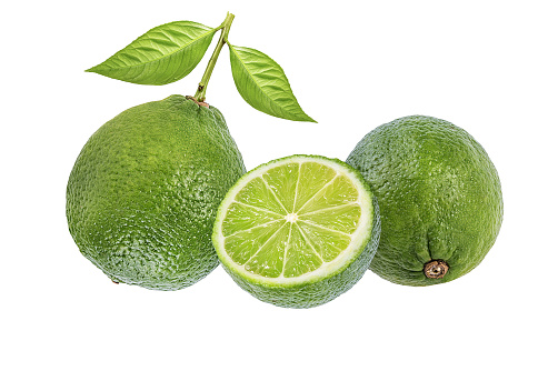 Fresh green lime isolated on white . Citrus and tropical fruits
