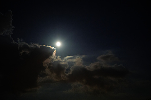 Full moon with cosmos flowers silhouette in the night.