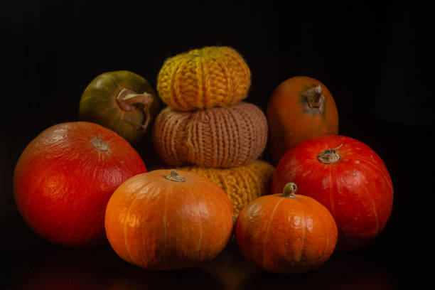 yellow-orange pumpkins on a black background the concept of halloween and the autumn harvest of pumpkin close-up copyspace from above - jack fruit imagens e fotografias de stock