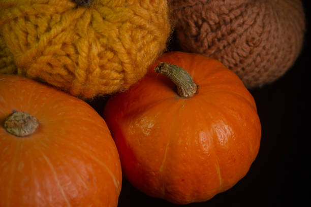 citrouilles jaune-orange sur fond noir le concept d’halloween et la récolte d’automne de citrouilles en gros plan copyspace d’en haut - jack fruit photos et images de collection