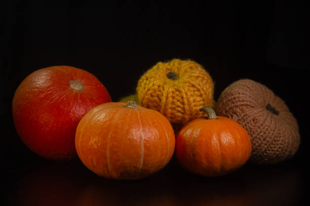 yellow-orange pumpkins on a black background the concept of halloween and the autumn harvest of pumpkin close-up copyspace from above - jack fruit imagens e fotografias de stock