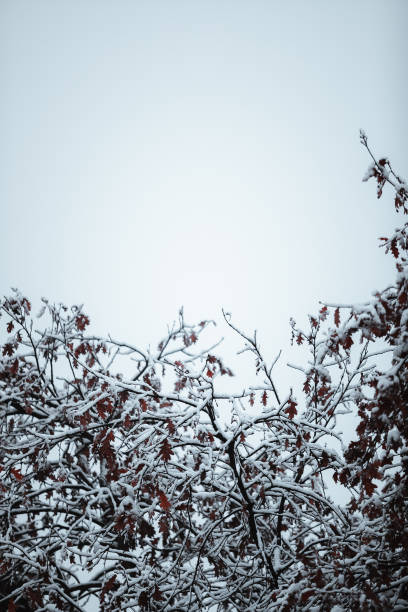 istock First day of snow 1447114991