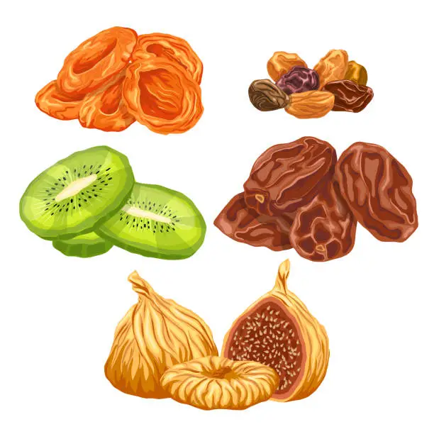 Vector illustration of dried fruit food set cartoon vector illustration