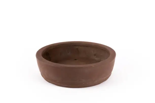 Bonsai pot on white background