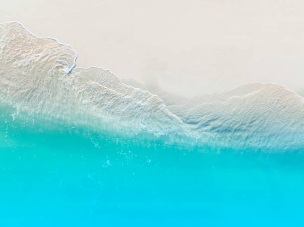 istock The ecology system with a wave water energy on the beach with a summer tropical background , Aerial view 1447117519